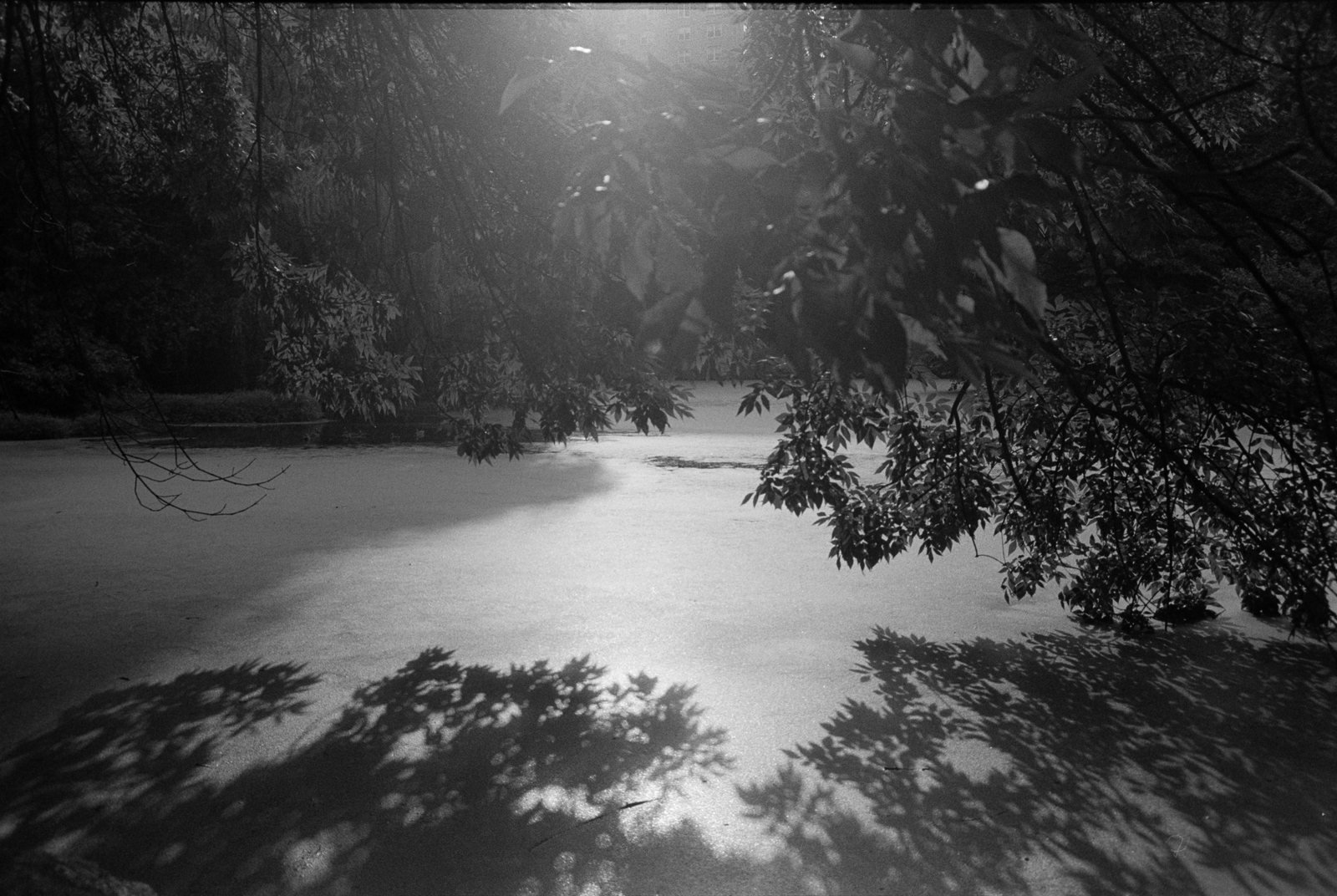 As I Left It, black and white photograph by Corinna Frankel